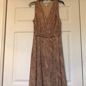 Spring is in the air